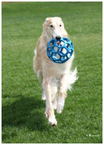 Playing with Ball